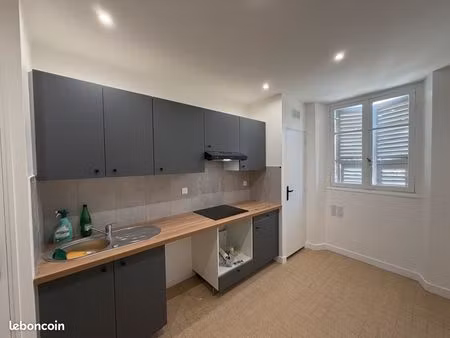 deux pièces plein centre rénové nice