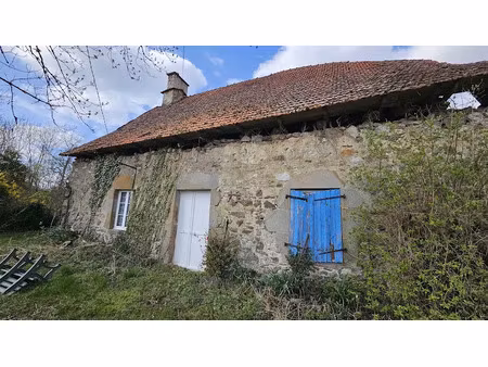 vente ferme 79 m² à champs-sur-tarentaine-marchal (15270)  46 000 €