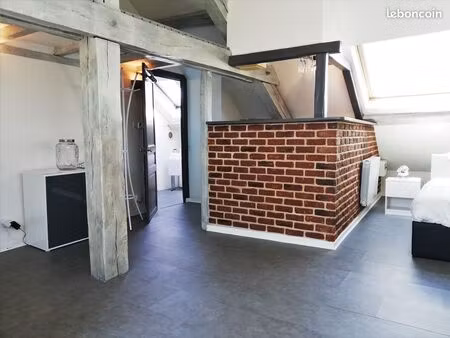 charmant appartement meublé centre ville blois