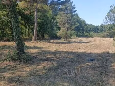 terrain gièvres