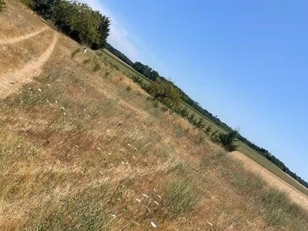 terrain agricole