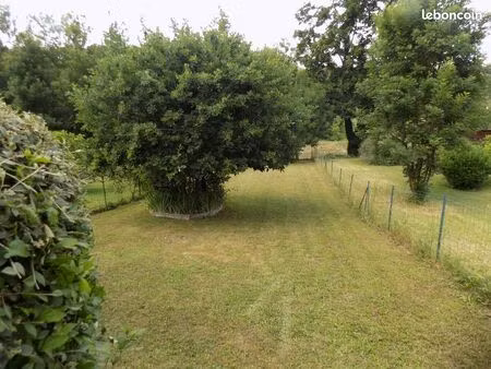 location petite maison bord de loire