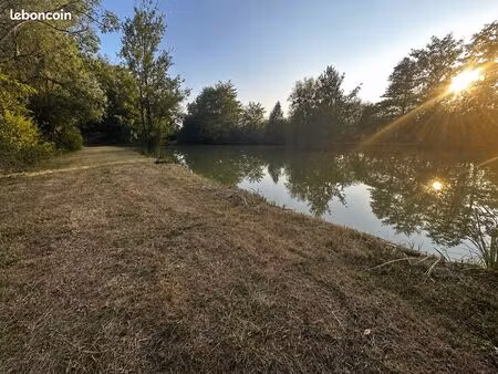 terrain avec étang