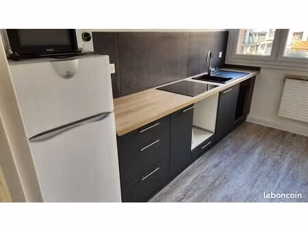 bel appartement rare  rénové  bellevue