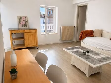 charmant appartement t2 rénové de 53 m² – centre-ville - chauffage inclus