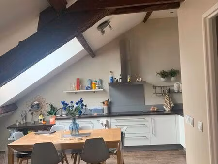 t3 meublé – 54 m² (plus de 83m² au sol) – centre de saint-étienne