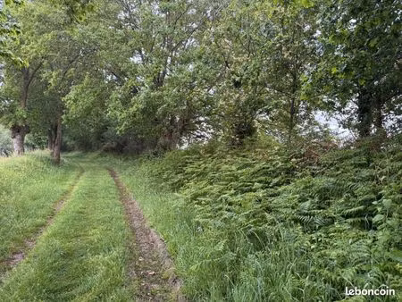 terrain 812 m² cosse le vivien