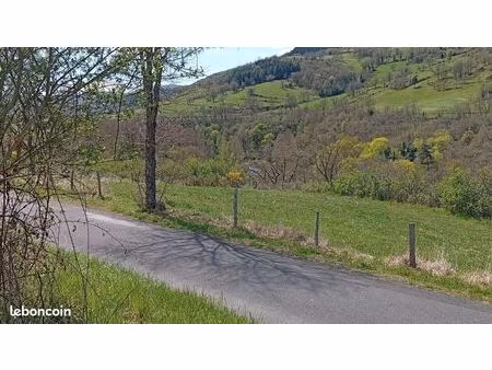 terrain de loisir avec ancienne vigne et chaînerai dans la haute vallée de l'allier en bor