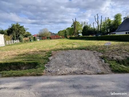 terrain constructible