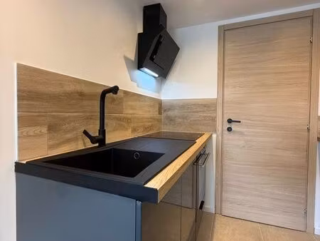 appartement f2 rénove à neuf avec jardin attenant