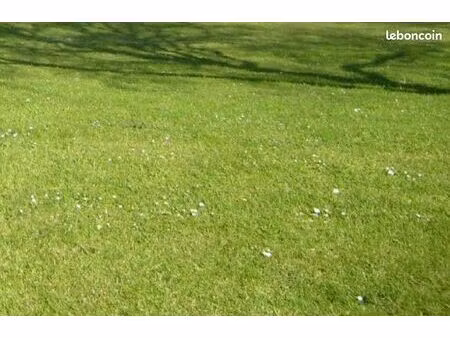 terrain 560 m² auray