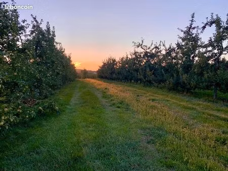cherche verger / terrain de loisir