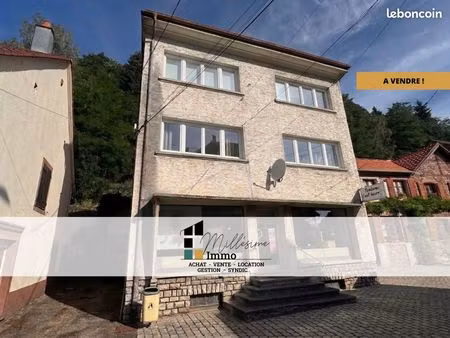 immeuble 210 m² lutzelbourg