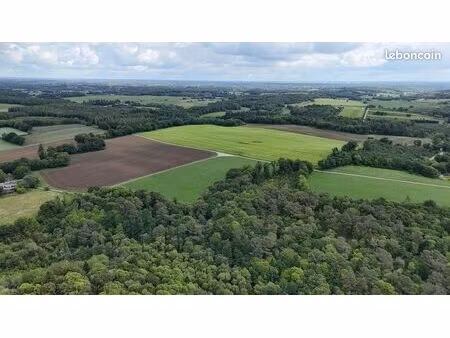 massif forestier d’un seul tenant au cœur du morbihan : idéal chasse et projets sylvicoles