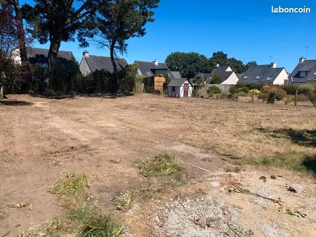 rare a pied vannes terrain independant au centre hors lotissement et copro 2 maisons possi