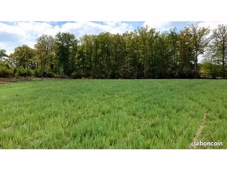 terrain 496 m² waziers