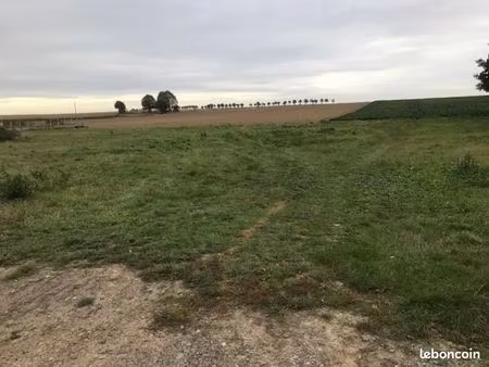 terrain 1 m² wambaix