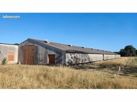 entrepôt / poulailler isolé 800 m² à louer – divisible – accès poids lourds