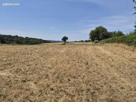 terrain 2592 m² brassy