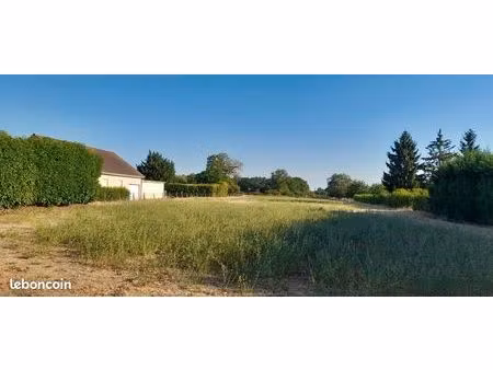 terrain constructible