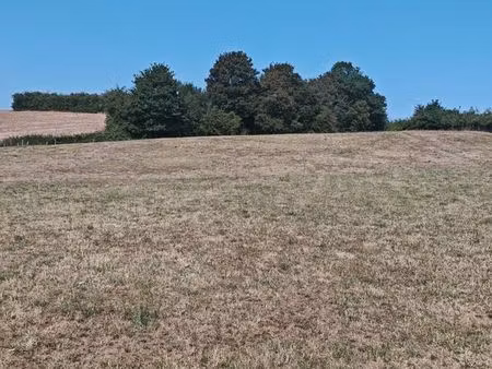 terrain non constructible garchizy