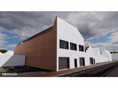 immeuble de caractère – 576 m² fort potentiel tourcoing jardin botanique