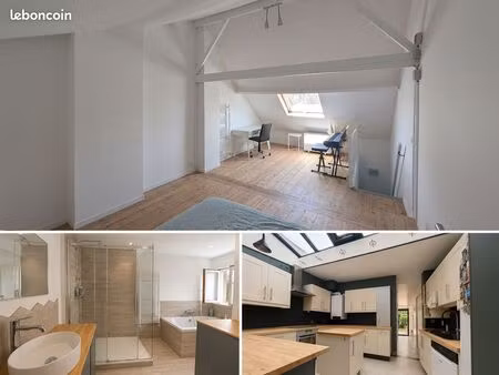 maison 1930 rénovée lomme-lambersart