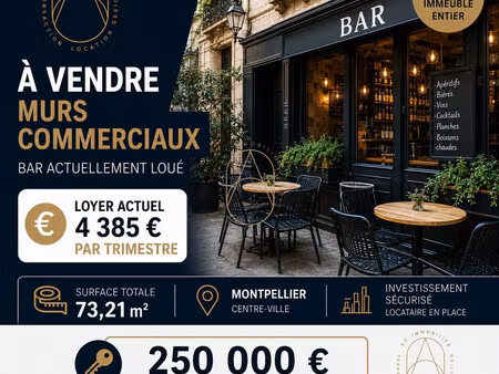 murs commerciaux – immeuble entier – centre historique de mo