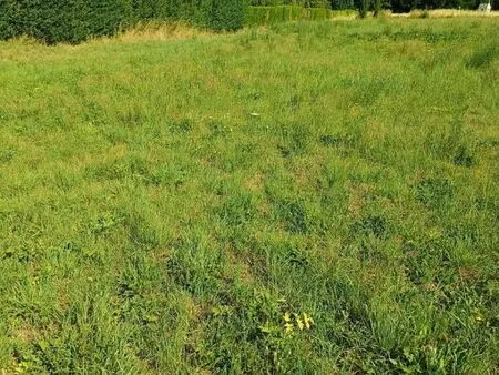terrain 1622 m² beaugies sous bois