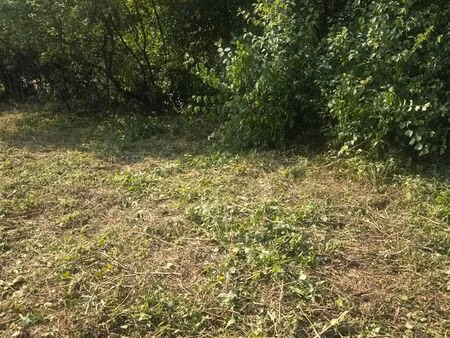 terrain constructible