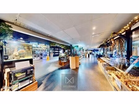 immeuble commercial + appart a vendre