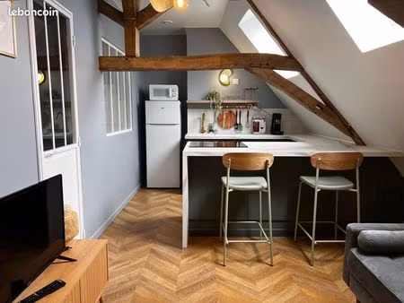 charmant t2 meublé en plein cœur de douai avec poutres apparentes et vue imprenable sur le