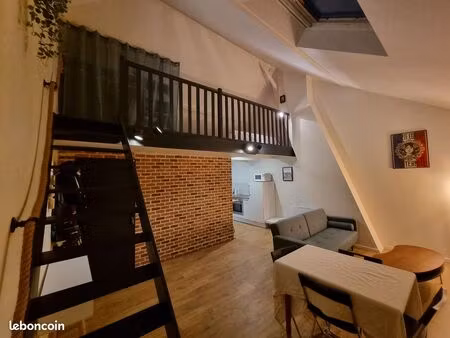 appartement meublé t1bis lille st maurice pellevoisins/ vieux mons en baroeul