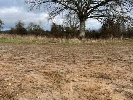 terrain 348 m² cerise
