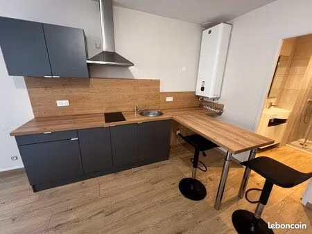 ? appartement t2 rénové – entrée indépendante – centre-ville