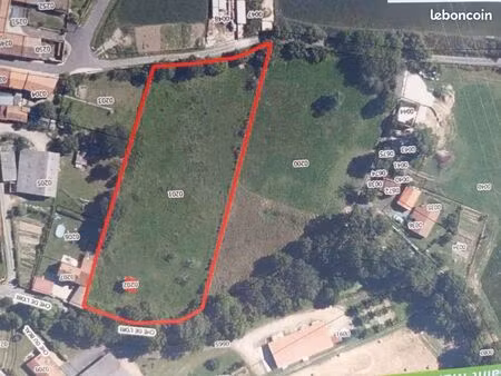terrain constructible