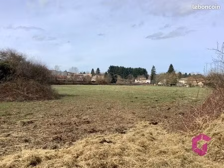 terrain 18962 m² courpière