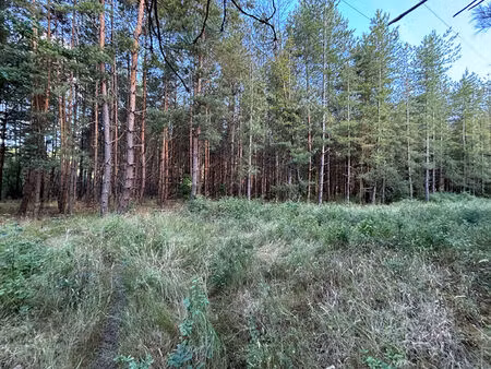 vente terrain  58977.00m²  fontaines