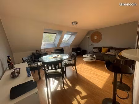 appartement 55 m² meublé + parking + cave