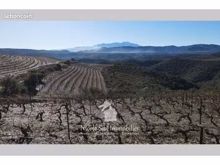 terrain agricole 11 020 m² rasigueres