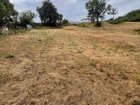 ? à louer – pré pour chevaux 1 3 hectare – villefranque
