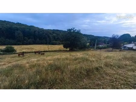 terrain avec cu 1200m*2