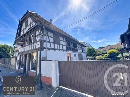immeuble 240 m² vendenheim