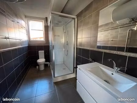 loue a saverne  spacieux f2 de 60m² centre ville entièrement rénové