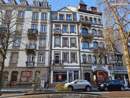 local 52 m² strasbourg