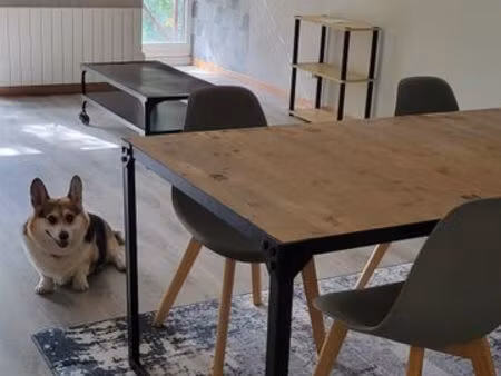 location appartement f2/f3 kaysersberg (possibilité de le louer meublé)