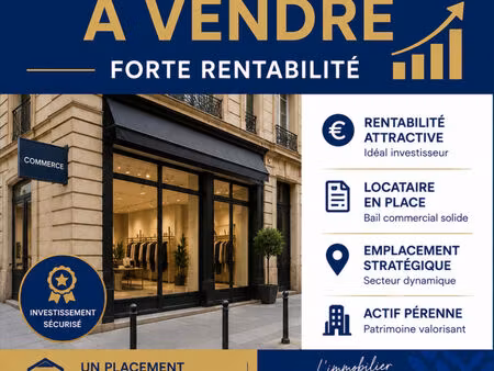à vendre - murs commerciaux loués - investissement locatif - arles