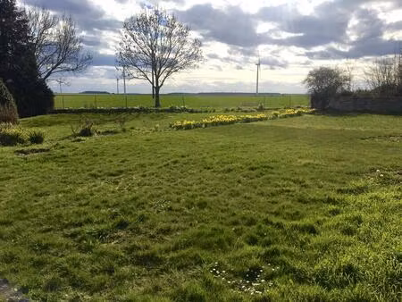 terrain constructible
