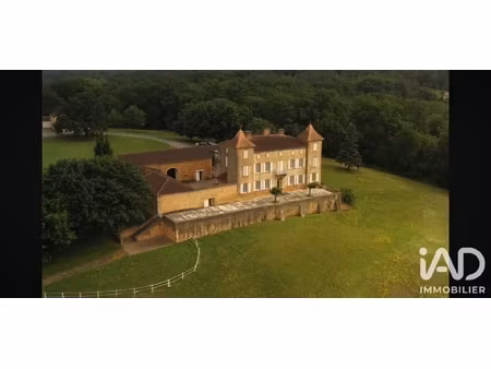 vente château 9 pièces