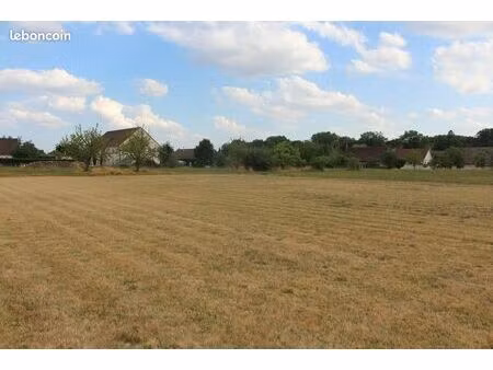 terrain à bâtir 1243m² + chemin d'accès privé 127 m² - chatenoy en bresse